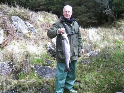 7lbs Atlantic Salmon